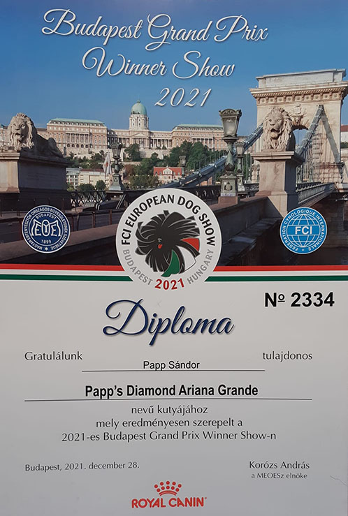 2021 FCI European Dog Show Diploma